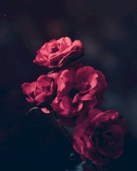 STRANGE TIMES (DEMO)