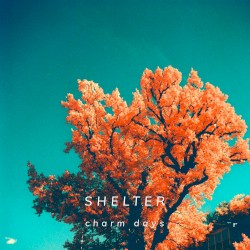 Shelter
