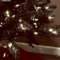 Leave the Christmas Light Up