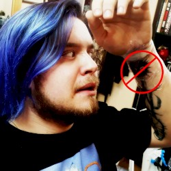 Versandleiter Kim (Tattoofrei Song)