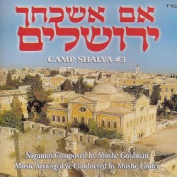 מחנה שלוה 03 , אם אשכחך ירושלים