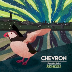 Possibilities Remixed