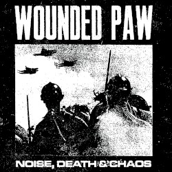 Noise, Death & Chaos