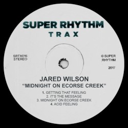 Midnight on Ecorse Creek