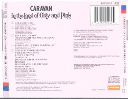 In the Land of Grey and Pink