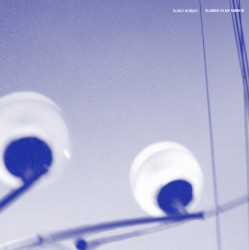 Blurred in My Mirror