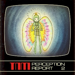 Perception Report 2