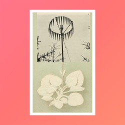 💐 🌷 🌸 🌹 🌺 🌻 🌼 🥀