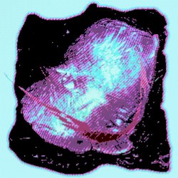 Push [ K A G E B O O T L E G ]