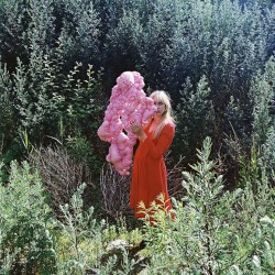 Ardent Spring • Part I