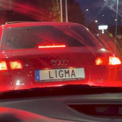 Andromeda (gvrlstink remix)