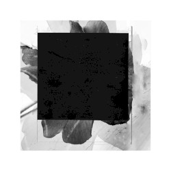 Soft Synth Patch - Telecaster - Moss Green Zen Bell - Vocals - Cow Bell- Pinecone