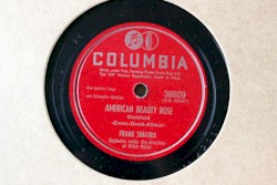 American Beauty Rose / Just an Old Stone House