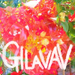 GILAVAV