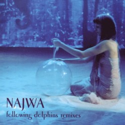 Following Dolphins Remixes