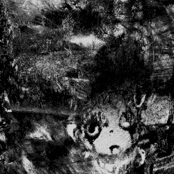 A “flower of dawn” wilts and falls in the afternoon, but you…