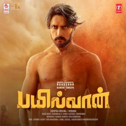 Pailwaan