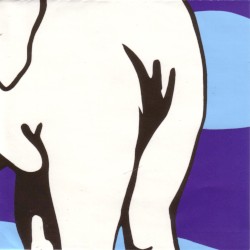 Live at Jittery Joe's