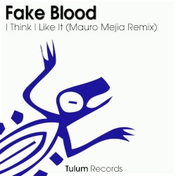 I Think I Like It (Mauro Mejia Sabroso remix)