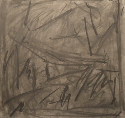 Blades of Grass Covered in Blood