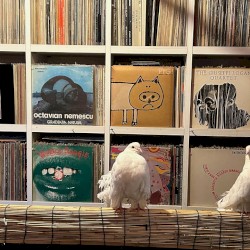 2025-02-20: NTS Radio