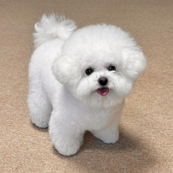 user #no #autotune mix