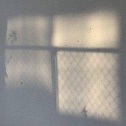 Tag des Lichts (ひかりの日)