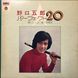 パーフェクト20