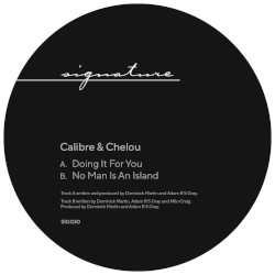 Doing It for You / No Man Is an Island