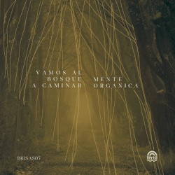 Vamos al bosque a caminar