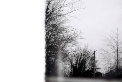 Tyla (akustinė versija)