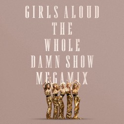The Whole Damn Show Megamix