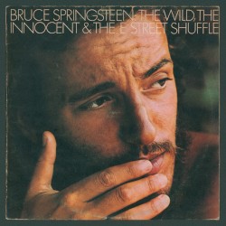 The Wild, the Innocent & The E Street Shuffle