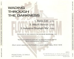 Wading Through the Darkness