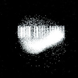 Swarm Intelligence 001