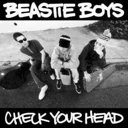 Check Your Head