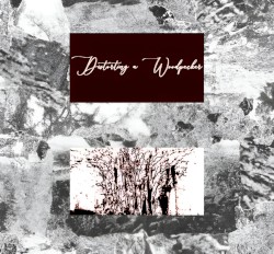 Live Performance 2025