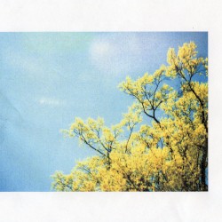 Am I Happy, Singing_