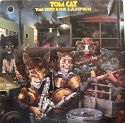 Tom Cat