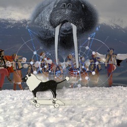 Welcome Lovely Dragon Princess