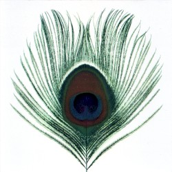 Apple Venus, Volume 1