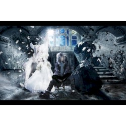 Seventh Sense / 屍の王者 / アンプサイ