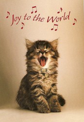 Joy to the World