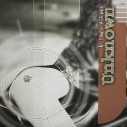 If I Had a R&B Bitch