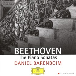 The Piano Sonatas