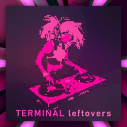 TERMINAL leftovers