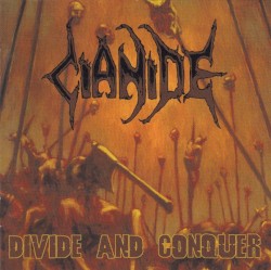 Divide and Conquer