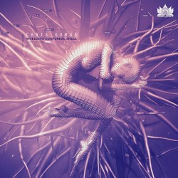 Wheezing Corporeal Shell