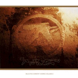 Selected Ambient Works, Volume II