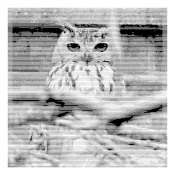 Bootleg Virtue Injection